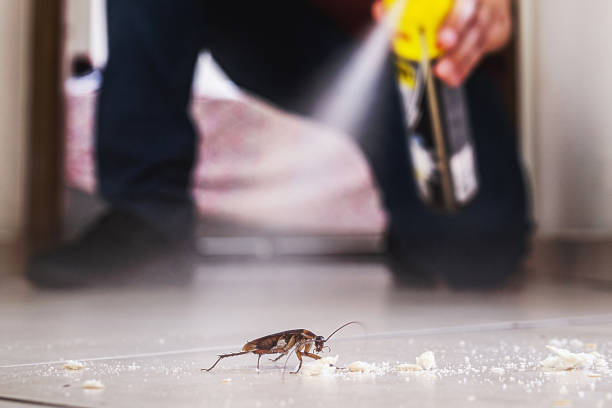 Best Mosquito Control Services  in Middletown, OH